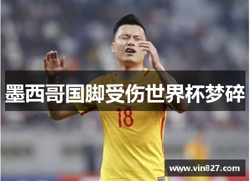 墨西哥国脚受伤世界杯梦碎